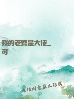 我的老婆是大佬