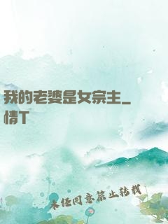 我的老婆是女宗主