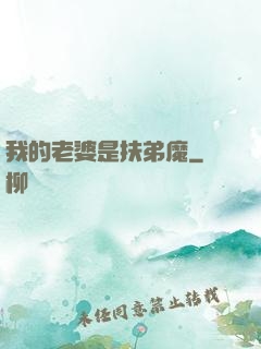我的老婆是扶弟魔