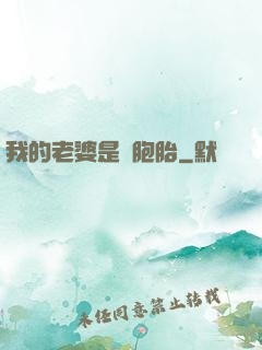 我的老婆是雙胞胎