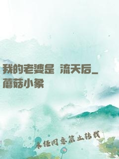 我的老婆是頂流天后