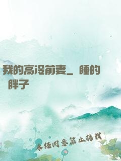 我的高冷前妻