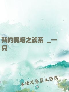 我的黑暗之魂系統