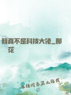 我真不是科技大佬