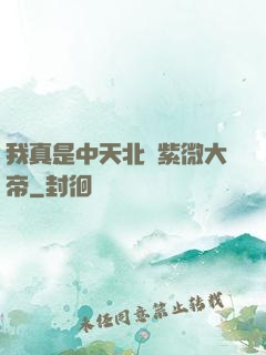 我真是中天北極紫微大帝