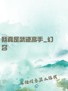 我真是武道高手