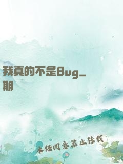 我真的不是Bug