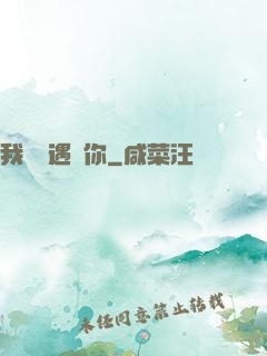 我終會遇見你