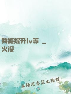 我能提升lv等級