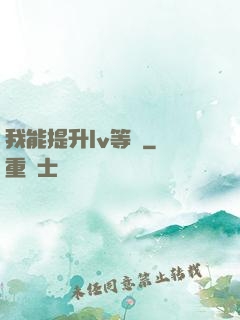 我能提升lv等級