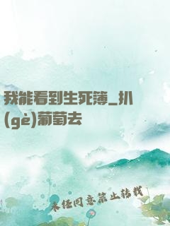 我能看到生死簿