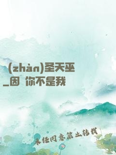 戰(zhàn)圣天巫