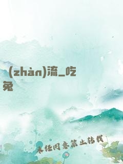戰(zhàn)流