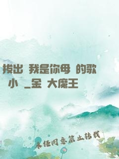 拔出來我是你母親的歌詞小說