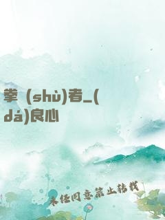 拳術(shù)者