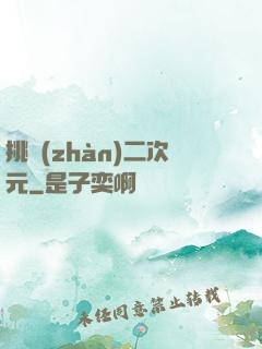 挑戰(zhàn)二次元