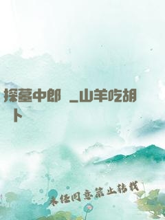 探墓中郎將
