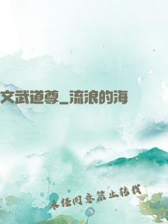 文武道尊