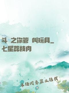斗羅之你管這叫玩具