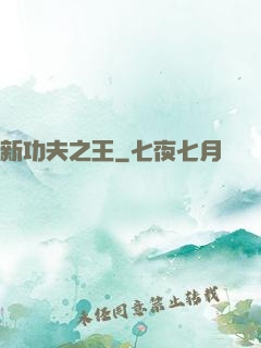 新功夫之王