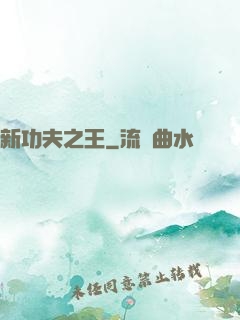 新功夫之王