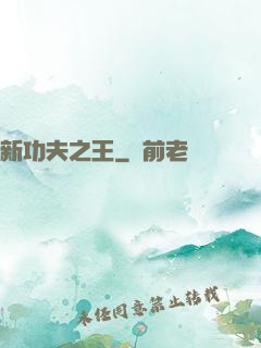 新功夫之王