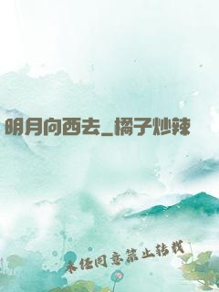 明月向西去