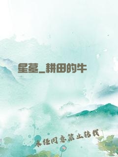 星墓