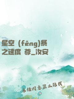 星空風(fēng)暴之速度為尊