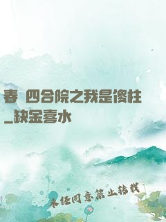 春滿四合院之我是傻柱