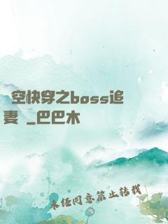 時空快穿之boss追妻記