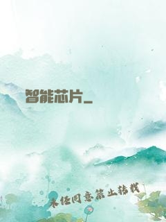 智能芯片