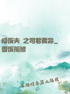 暗夜夫寵之司君要命