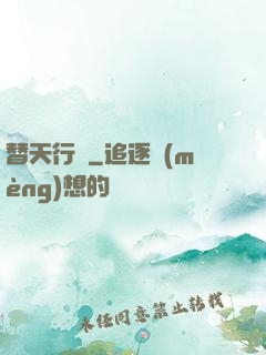 替天行盜