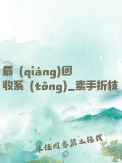 最強(qiáng)回收系統(tǒng)