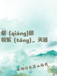 最強(qiáng)回收系統(tǒng)