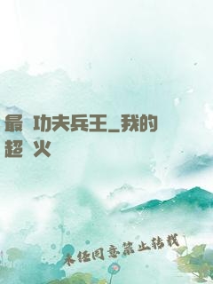 最強功夫兵王