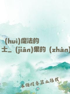 會(huì)魔法的騎士