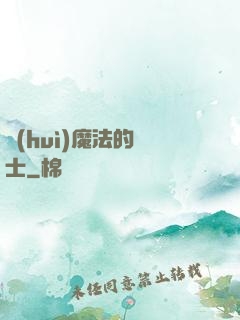 會(huì)魔法的騎士