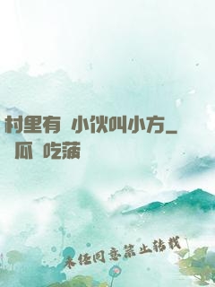 村里有個小伙叫小方