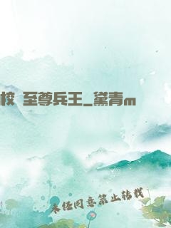 校園至尊兵王