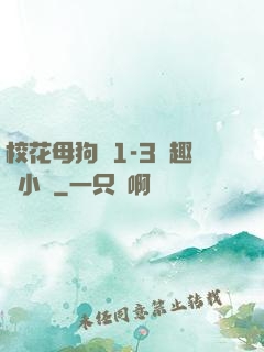 校花母狗們1-3筆趣閣小說