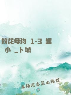 校花母狗們1-3筆趣閣小說