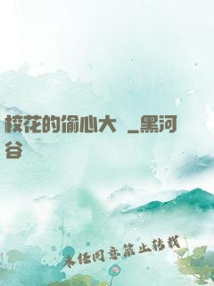 校花的偷心大盜