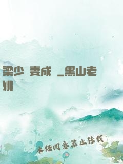 梁少寵妻成癮