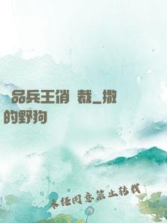 極品兵王俏總裁