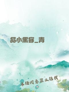 極品小黑客