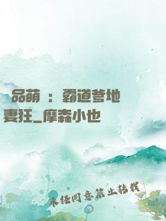 極品萌寶：霸道爹地護妻狂