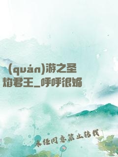 權(quán)游之圣焰君王