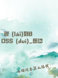 歡迎來(lái)到BOSS隊(duì)